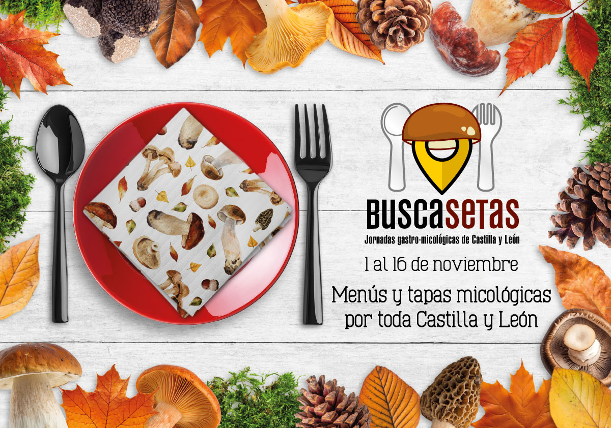 slider.cartel