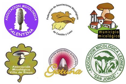 asociacion.micologica