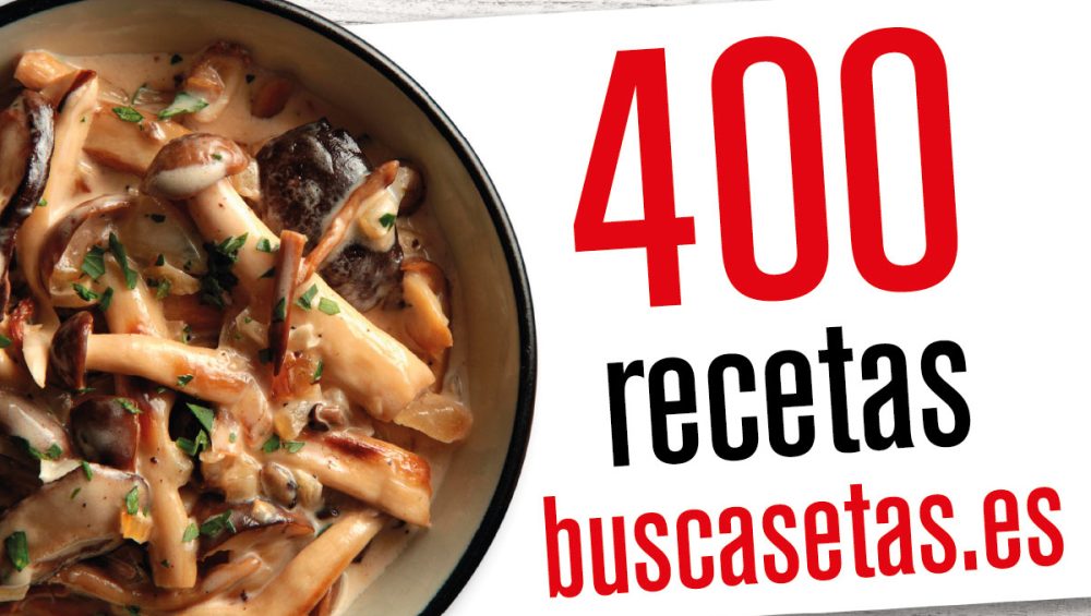 recetas.setas