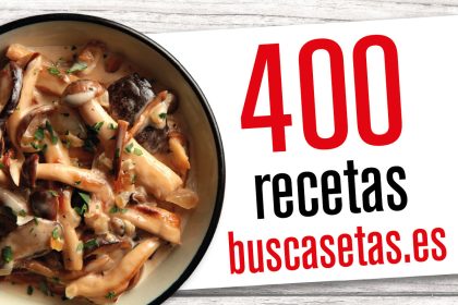 recetas.setas
