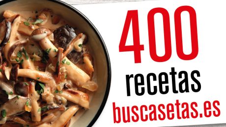 recetas.setas