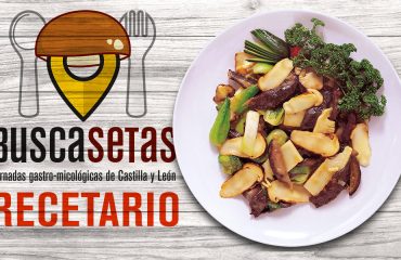 recetario.setas