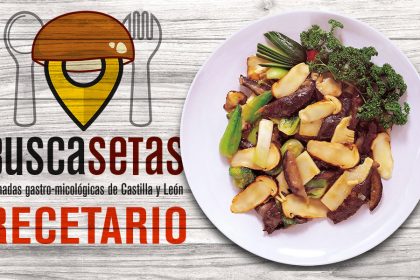 recetario.setas
