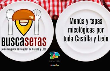 inscripcion.buscasetas