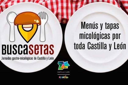 inscripcion.buscasetas
