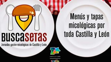 inscripcion.buscasetas