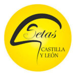 setas.castillayleon