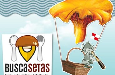Fechas Jornadas Buscasetas
