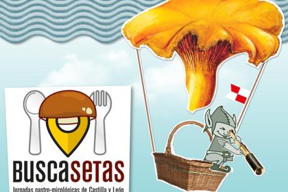 Fechas Jornadas Buscasetas