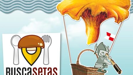 Fechas Jornadas Buscasetas
