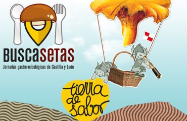 tierra.de.sabor