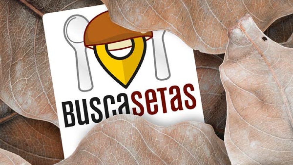 jornadas.buscasetas