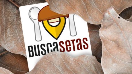 jornadas.buscasetas