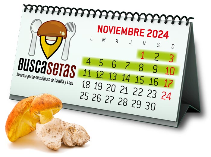 calendario.2024