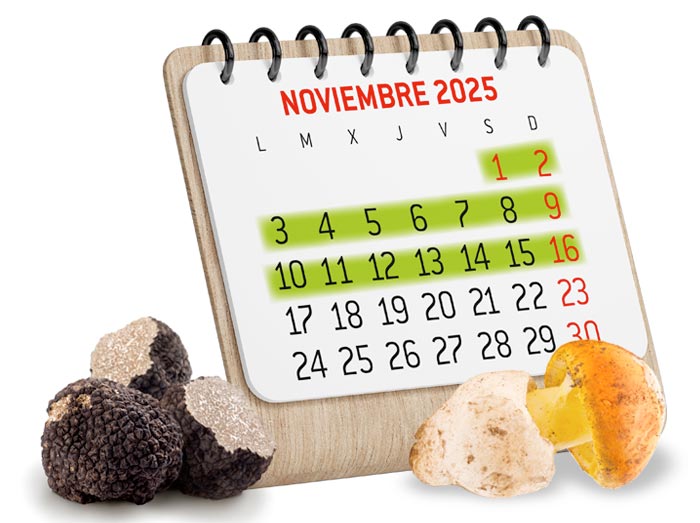 calendario.2025