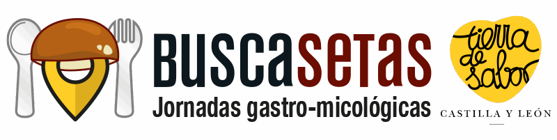 Sitio web de las Jornadas Gastro-micológicas Buscasetas de Castilla y León