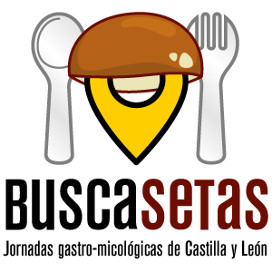 Buscasetas