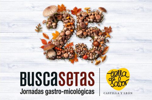 cartel.2026